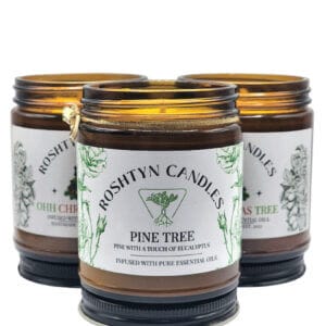 Ohh Christmas Tree (Pine Tree)